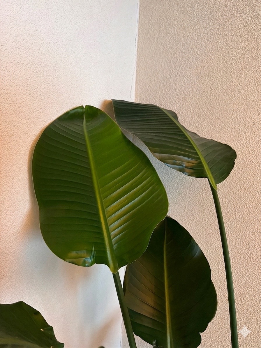 Detail van de bouw van KA’AETÉ